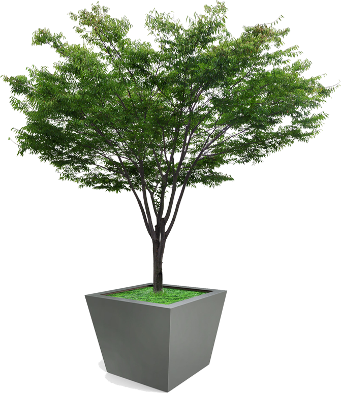 모바일플랜터소개