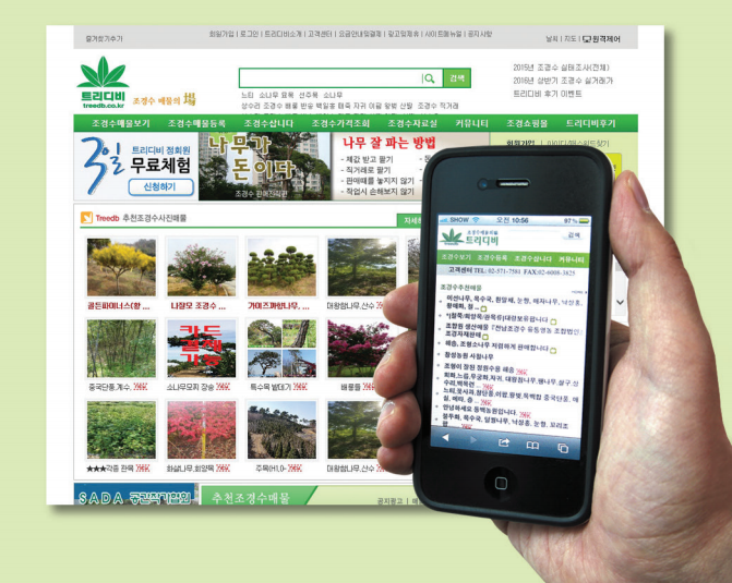 트리디비이미지