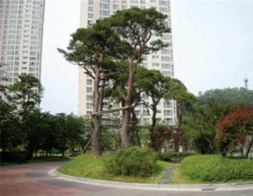 트리디비이미지1