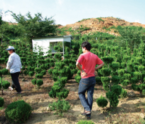 트리디비이미지3